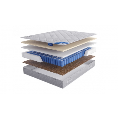 LINEAFLEX Barcelona Active