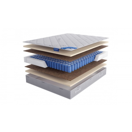 LINEAFLEX Chelsea Active