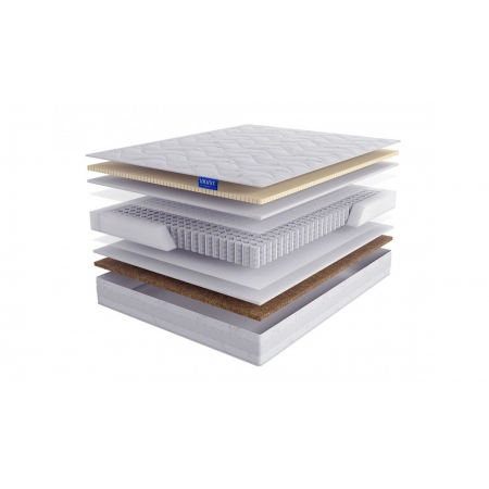 LINEAFLEX Evoluzione