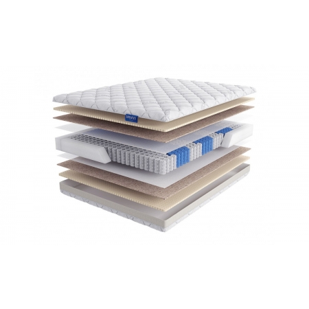 LINEAFLEX Massimo 23
