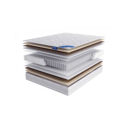 LINEAFLEX Superba