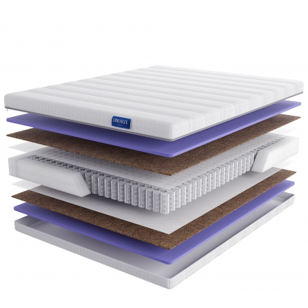 LINEAFLEX Evory