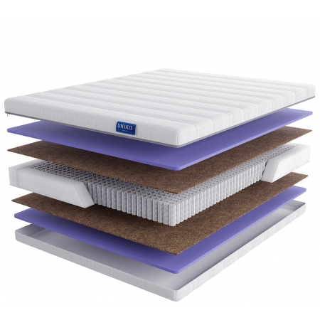 LINEAFLEX Evory LUX